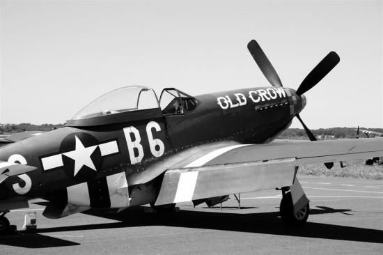 P51 old crow