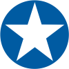 600px-usaac-roundel-1942-1943-svg.png