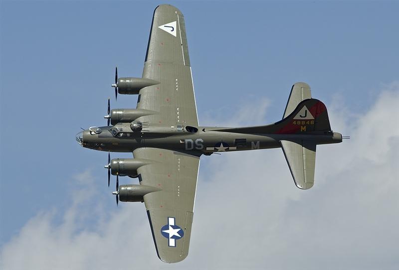 B17 9