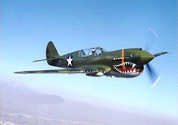 P40 n