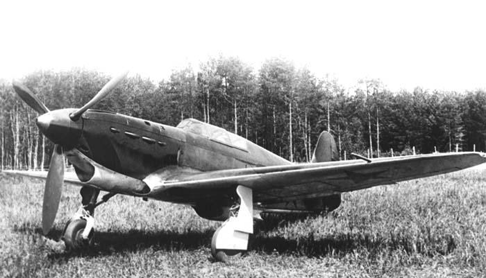 Yak1 6